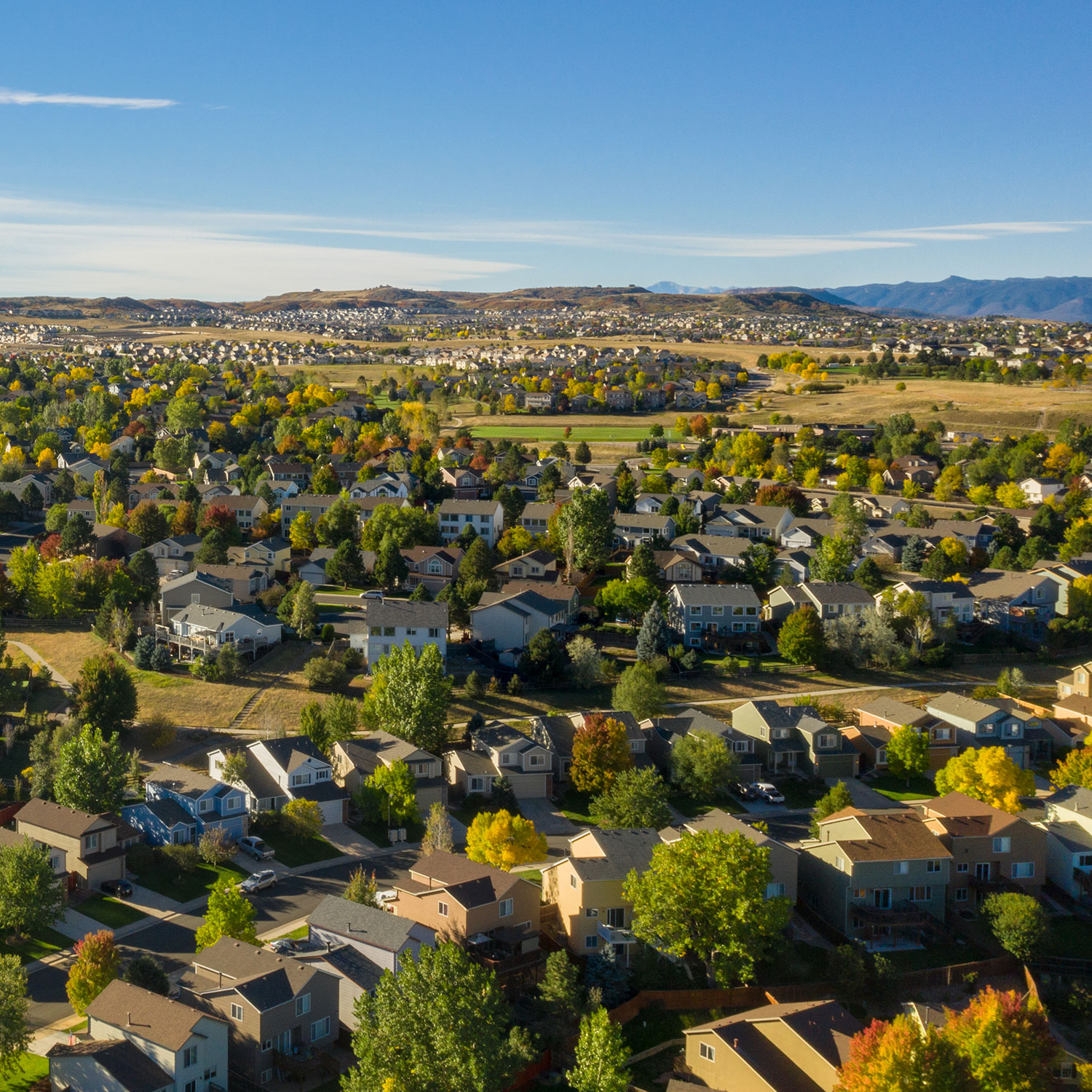 Homeowner Landscape