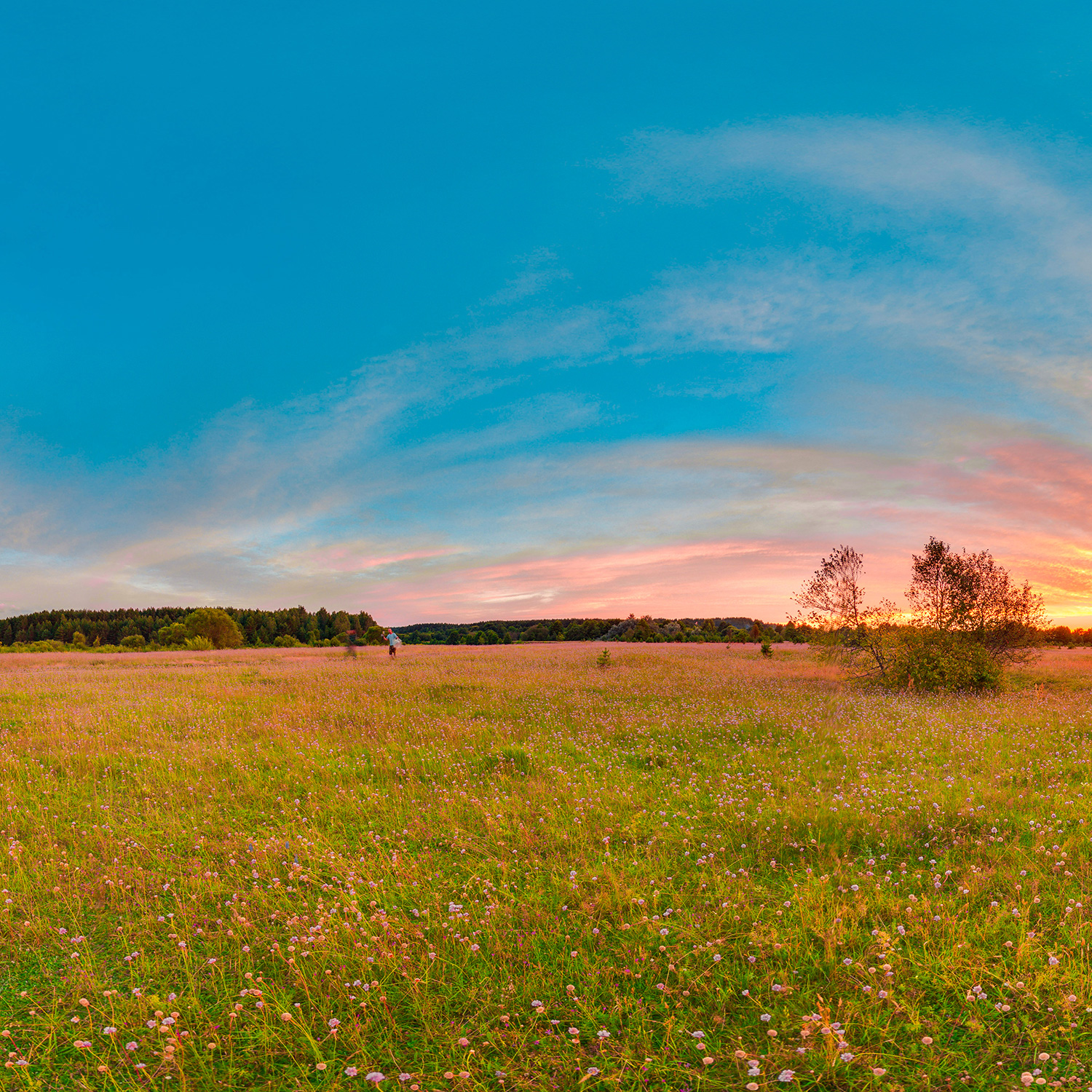 Landowner Landscape